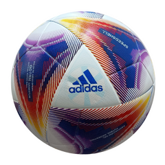 Adidas Argentum 22-23 Field Soccer Ball