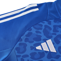 Adidas Cold Weather Set: Jacket + Pants in Blue, Yellow and Black
