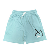 Light Blue Jordan Shorts