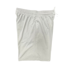 Gray Jordan Shorts