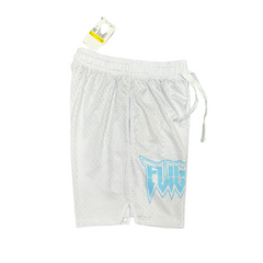 Pantalones cortos Jordan Flight en blanco y azul claro