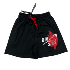 Nike Air Jordan Shorts Black, White and Red