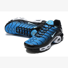 Nike Air Max Plus TN Aquarius Casual Shoes