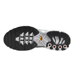 Nike Air Max Plus TN Double Swosh