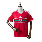 Camisa de Futebol Wales Adidas 2026 Principal - Versão Torcedor
