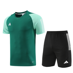 Conjunto Adidas Camiseta + Short Verde