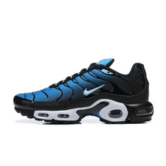 Nike Air Max Plus TN Aquarius Shoes