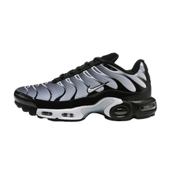 Nike Air Max Plus TN White, Silver and Black Sneakers