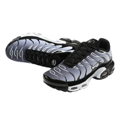 Nike Air Max Plus TN White, Silver and Black Sneakers