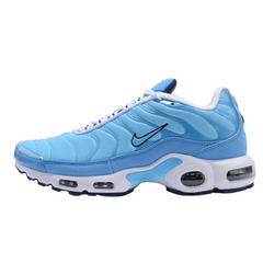 Zapatillas Nike Air Max Plus TN de primer uso