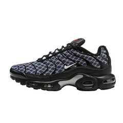 Zapatillas Nike Air Max Plus TN Francia