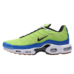 Tênis Nike Air Max Plus TN M. Frank Rudy